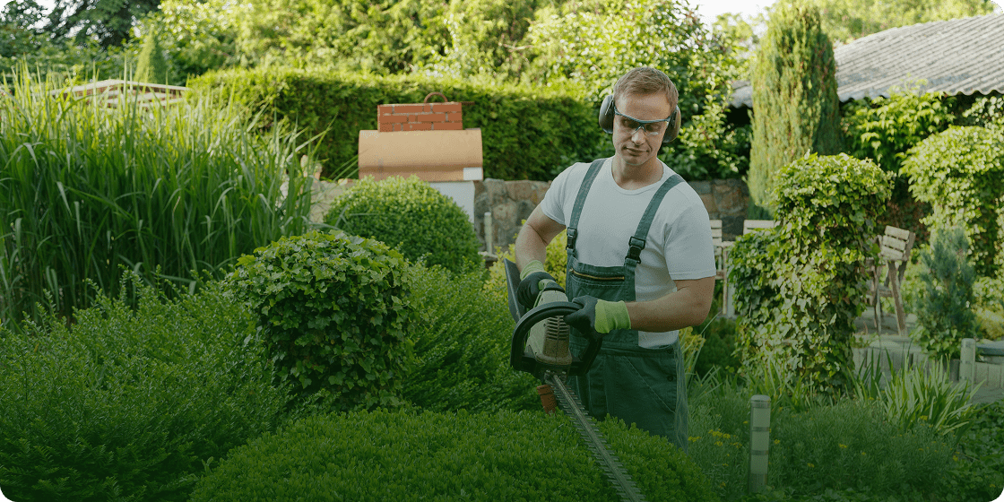 Landscaping work in a lush garden